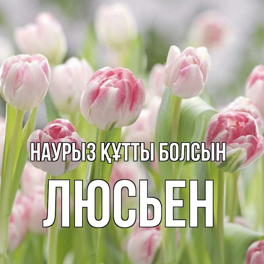 Күн сайын ашық хат с именем, Люсьен Наурыз құтты болсын цветы Онлайн тегін жүктеп алу тілектері бар керемет карта 