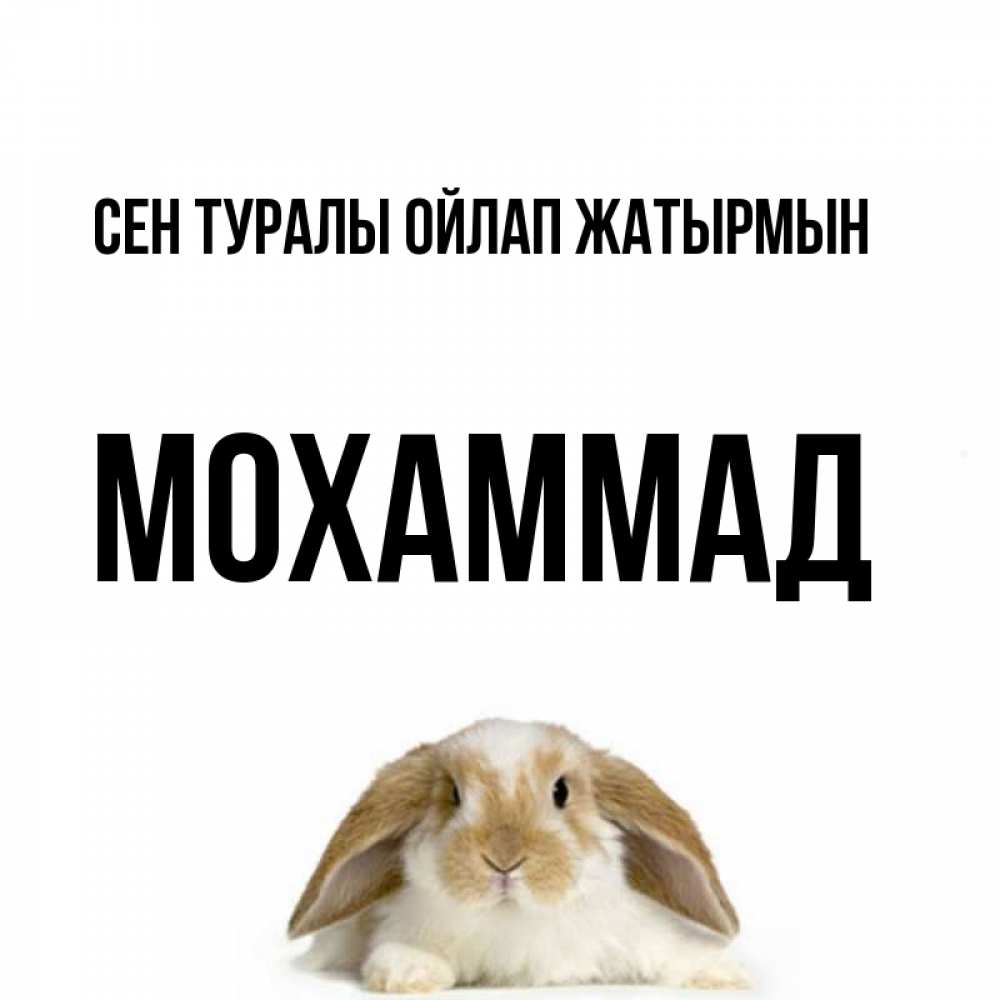 Күн сайын ашық хат с именем, Мохаммад Сен туралы ойлап жатырмын подписать своими руками онлайн Онлайн тегін жүктеп алу тілектері бар керемет карта 