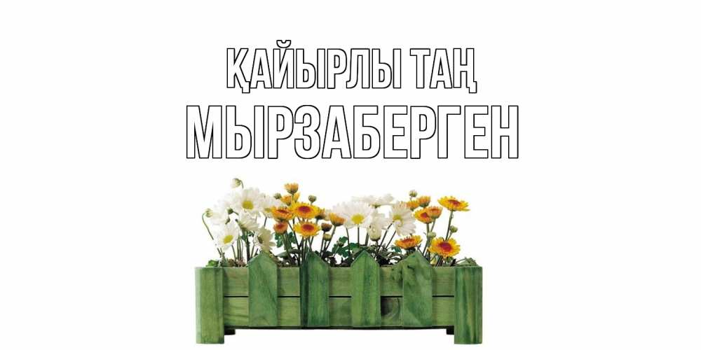 Күн сайын ашық хат с именем, Мырзаберген Қайырлы таң цветы Онлайн тегін жүктеп алу тілектері бар керемет карта 