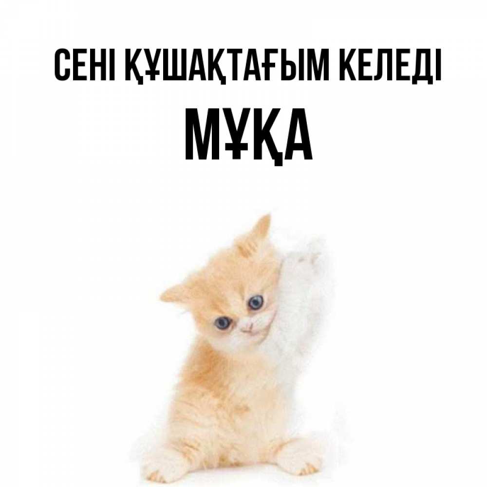 Күн сайын ашық хат с именем, МҰҚА сені құшақтағым келеді я хочу очень скорее обнимаешек Онлайн тегін жүктеп алу тілектері бар керемет карта 