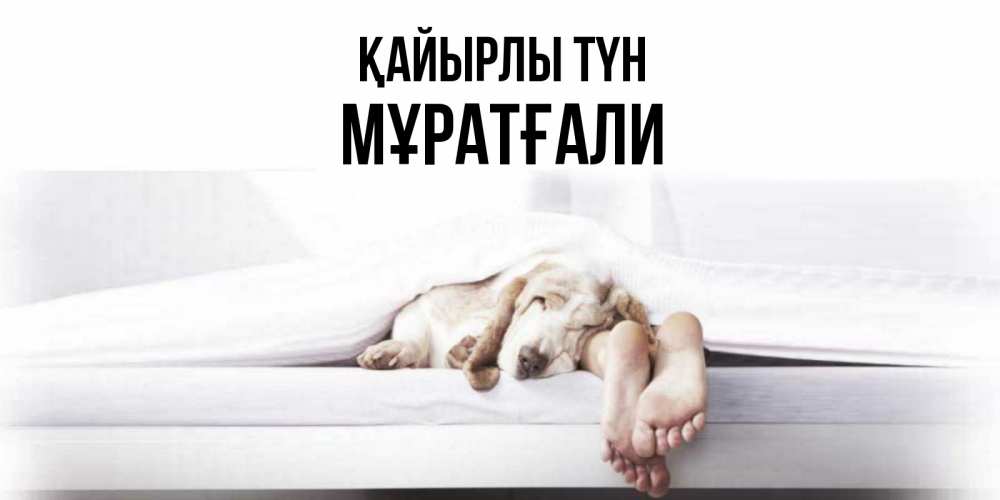 Күн сайын ашық хат с именем, Мұратғали Қайырлы түн кровать с собакой пожелание сладких снов и спокойной ночи Онлайн тегін жүктеп алу тілектері бар керемет карта 