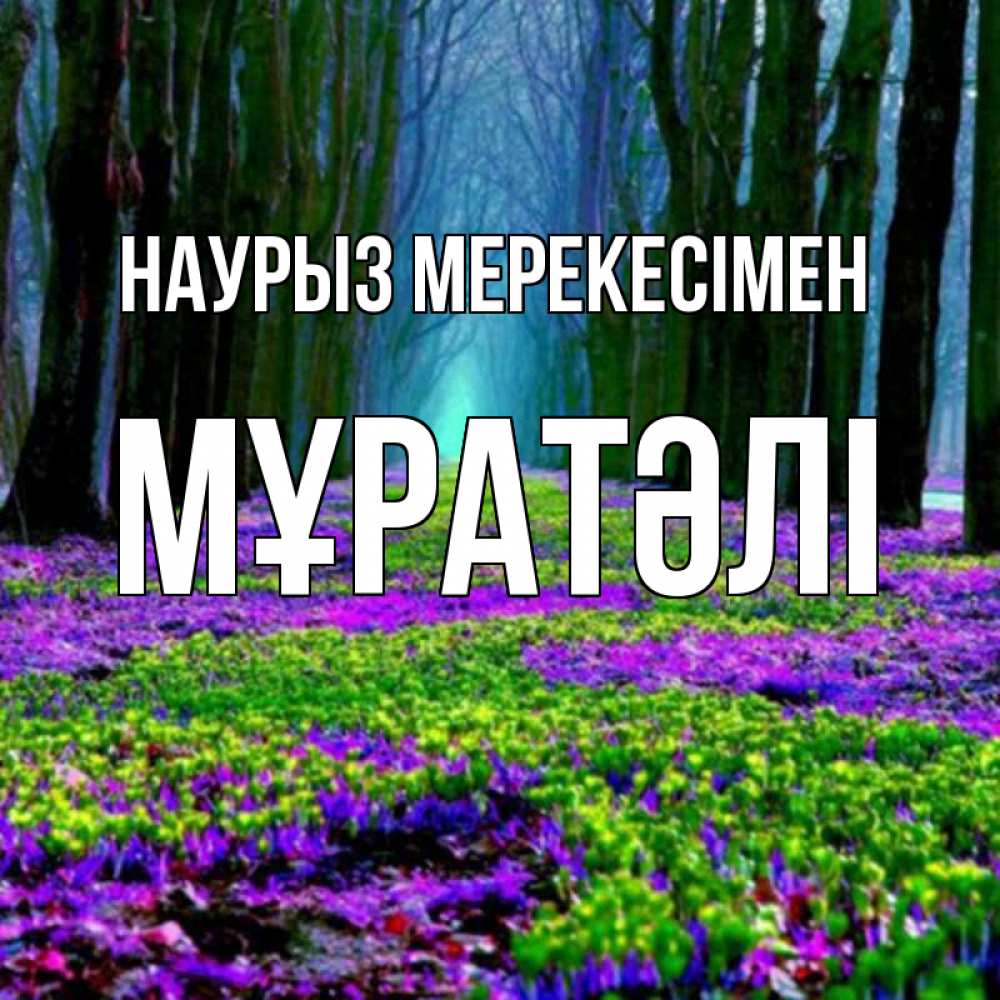 Күн сайын ашық хат с именем, Мұратәлі Наурыз мерекесімен фиолетовые цветы в лесу 1 Онлайн тегін жүктеп алу тілектері бар керемет карта 