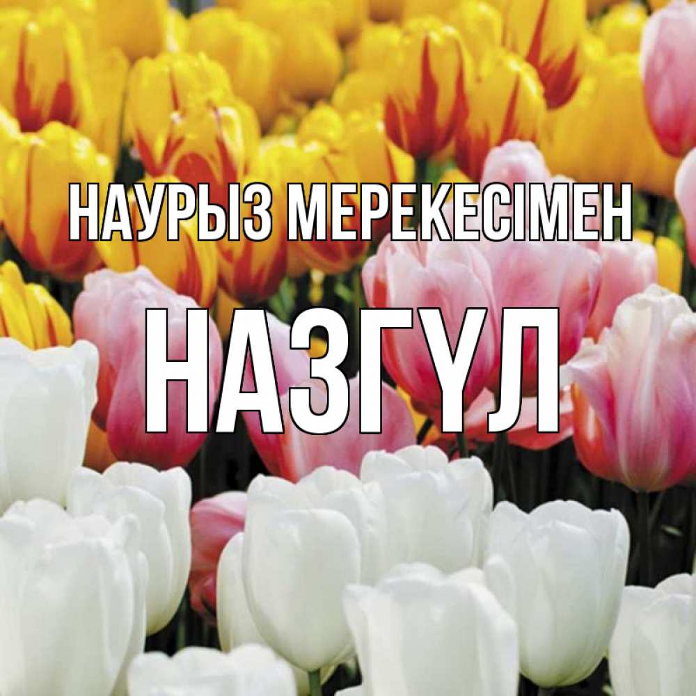 Күн сайын ашық хат с именем, НАЗГҮЛ Наурыз мерекесімен разноцветные цветы Онлайн тегін жүктеп алу тілектері бар керемет карта 