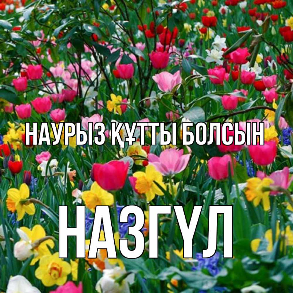 Күн сайын ашық хат с именем, НАЗГҮЛ Наурыз құтты болсын с наурызом поздравления для женщины Онлайн тегін жүктеп алу тілектері бар керемет карта 