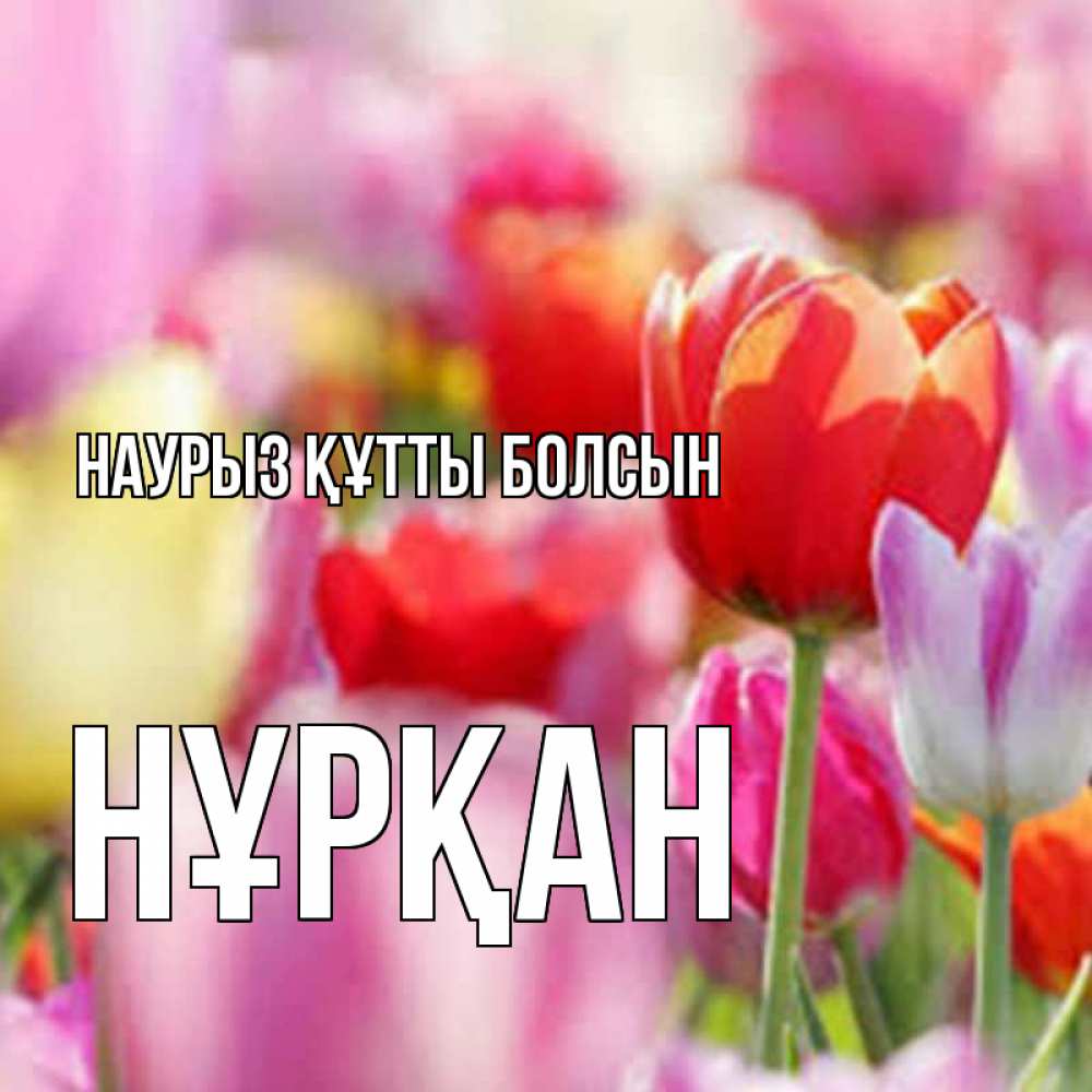 Күн сайын ашық хат с именем, Нұрқан Наурыз құтты болсын на наурыз  2 Онлайн тегін жүктеп алу тілектері бар керемет карта 