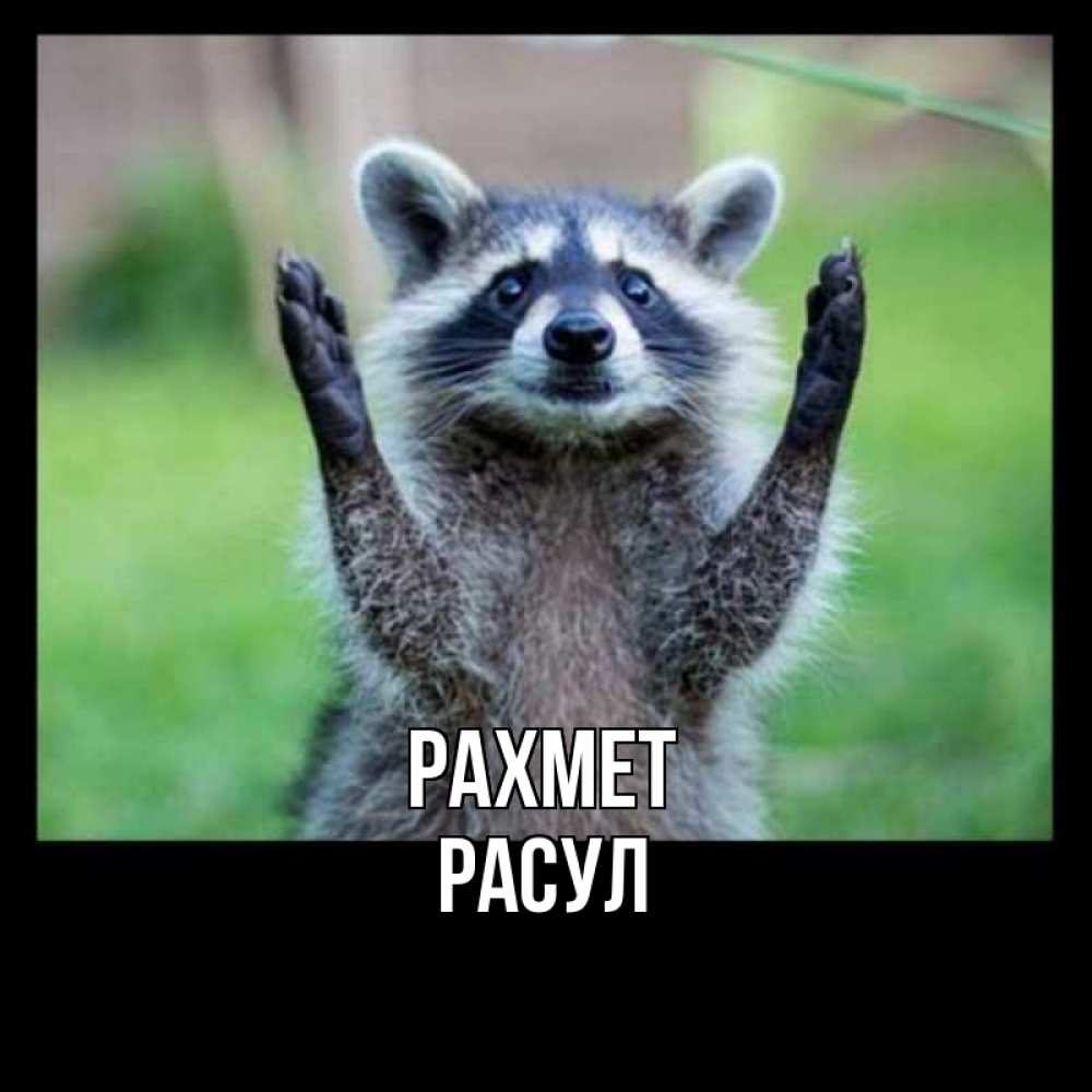 Күн сайын ашық хат с именем, РАСУЛ рахмет милые животные Онлайн тегін жүктеп алу тілектері бар керемет карта 