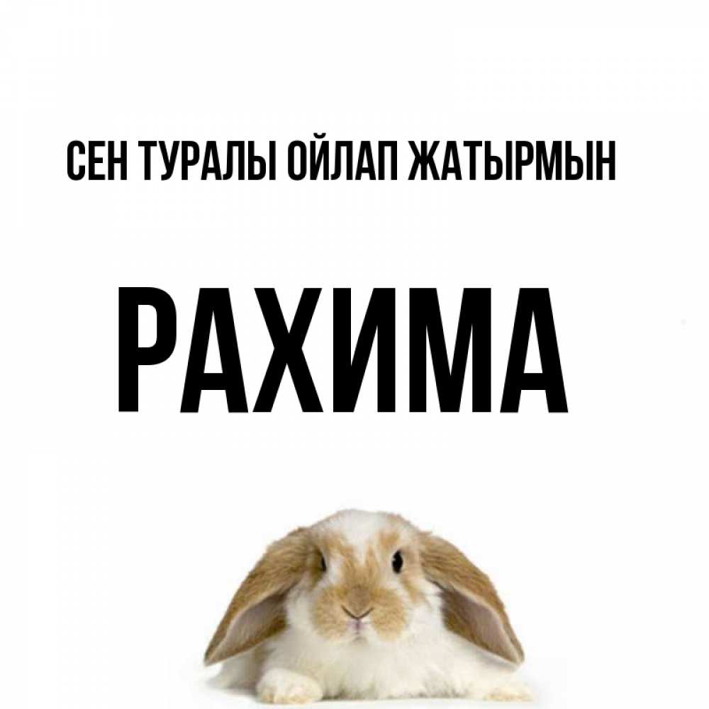 Күн сайын ашық хат с именем, РАХИМА Сен туралы ойлап жатырмын подписать своими руками онлайн Онлайн тегін жүктеп алу тілектері бар керемет карта 