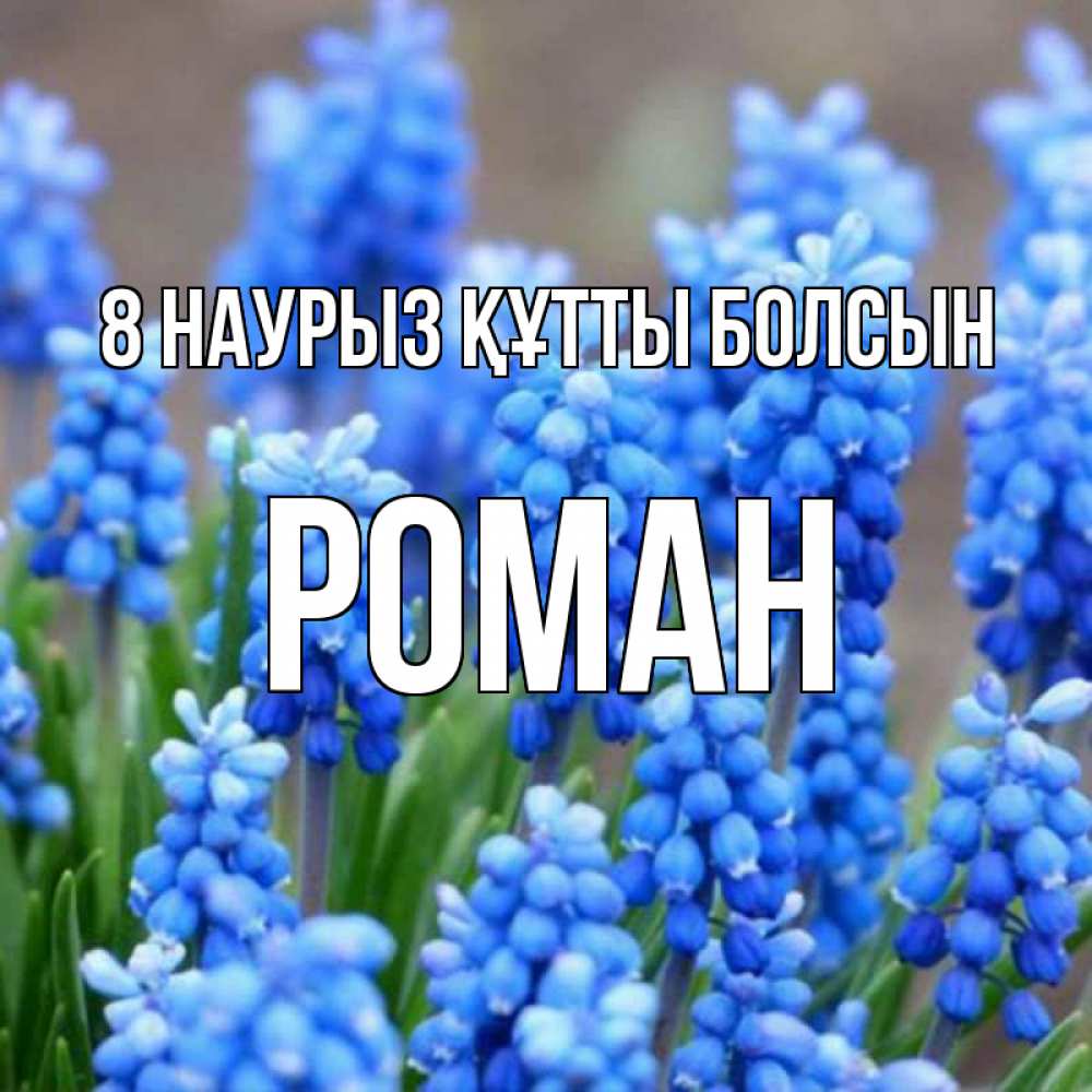 Күн сайын ашық хат с именем, Роман 8 наурыз құтты болсын Поздравительная открытка для женщин с цветами на праздничную дату Онлайн тегін жүктеп алу тілектері бар керемет карта 