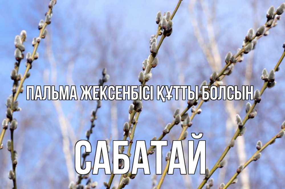 Күн сайын ашық хат с именем, САБАТАЙ Пальма жексенбісі құтты болсын верба Онлайн тегін жүктеп алу тілектері бар керемет карта 