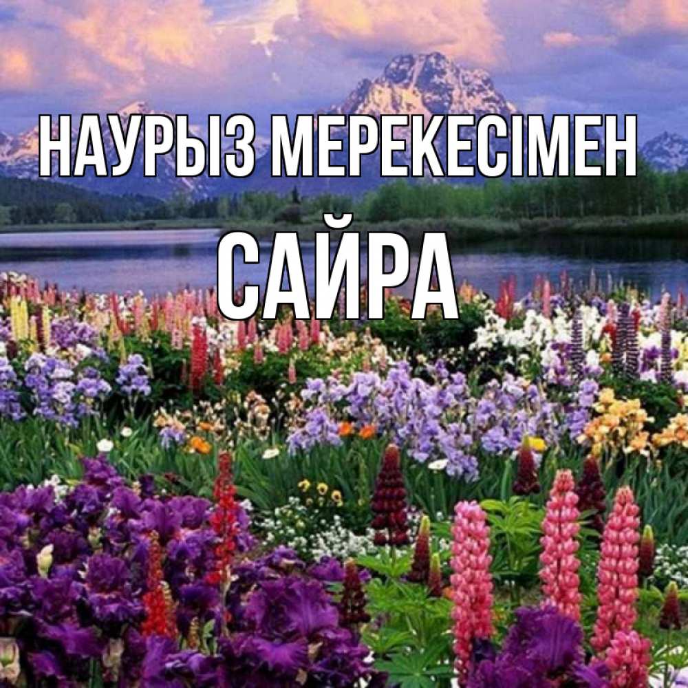 Күн сайын ашық хат с именем, САЙРА Наурыз мерекесімен праздник весны наурыз Онлайн тегін жүктеп алу тілектері бар керемет карта 
