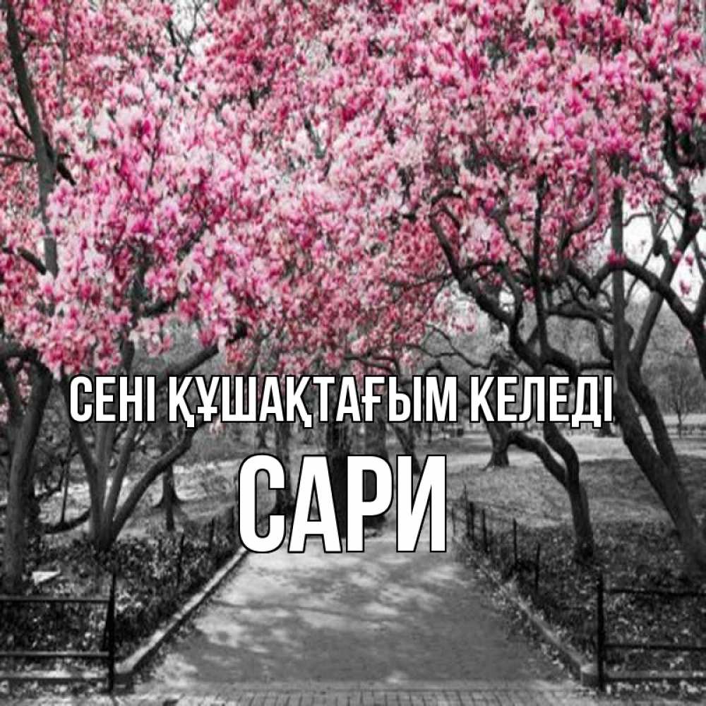 Күн сайын ашық хат с именем, САРИ сені құшақтағым келеді обработанное фото Онлайн тегін жүктеп алу тілектері бар керемет карта 