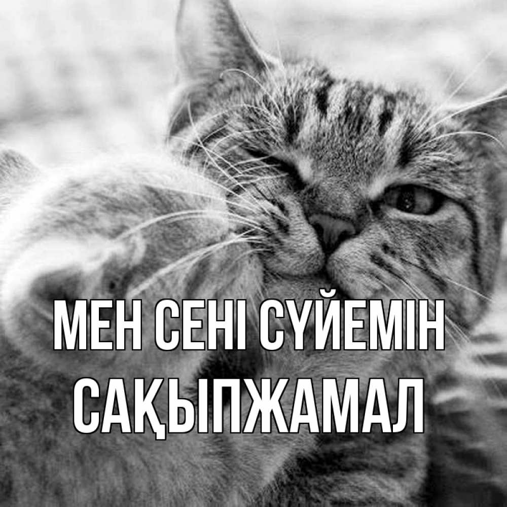 Күн сайын ашық хат с именем, САҚЫПЖАМАЛ Мен сені сүйемін коты Онлайн тегін жүктеп алу тілектері бар керемет карта 