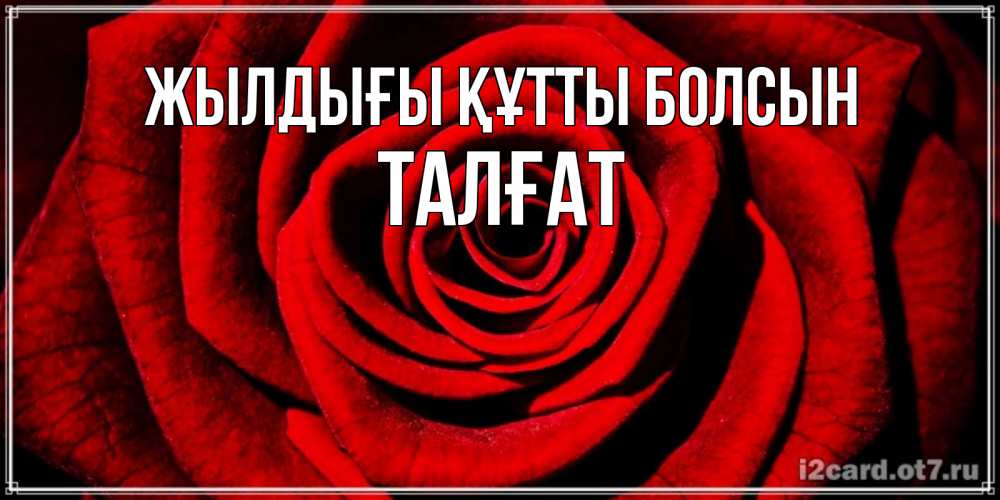 Күн сайын ашық хат с именем, ТАЛҒАТ Жылдығы құтты болсын алая роза Онлайн тегін жүктеп алу тілектері бар керемет карта 