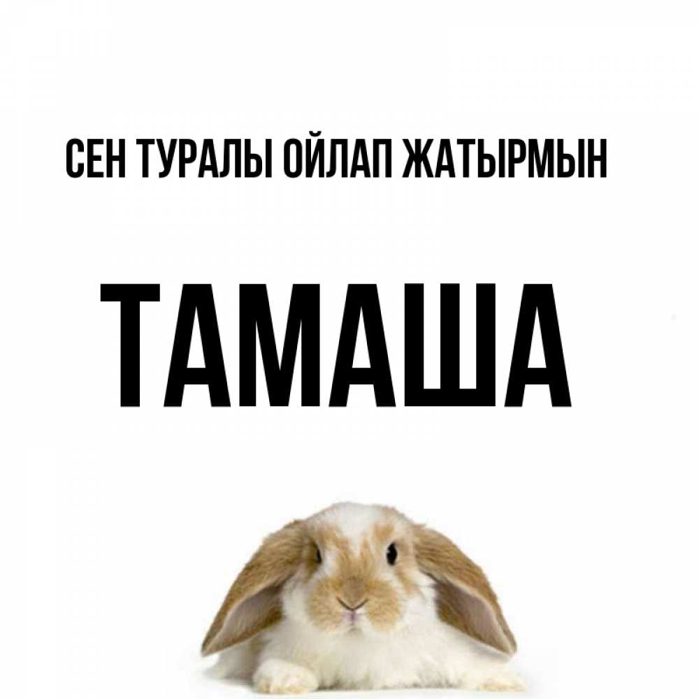 Күн сайын ашық хат с именем, ТАМАША Сен туралы ойлап жатырмын подписать своими руками онлайн Онлайн тегін жүктеп алу тілектері бар керемет карта 