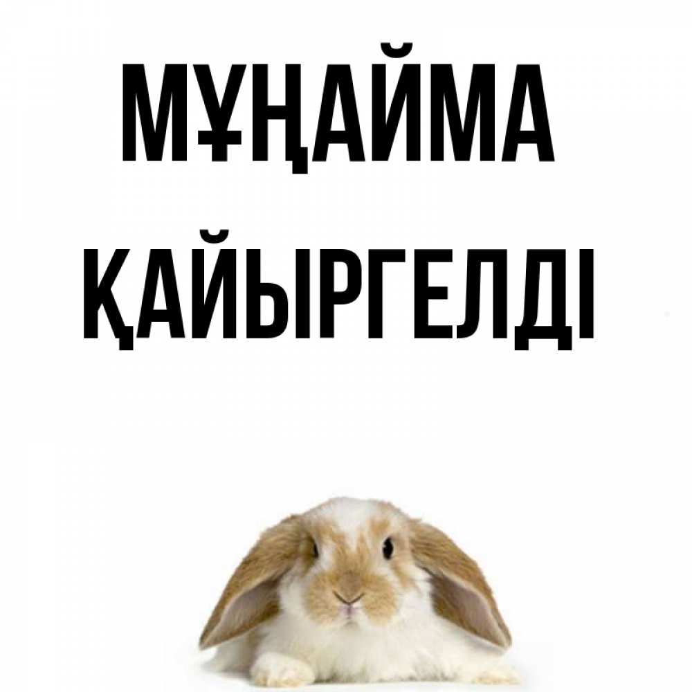 Күн сайын ашық хат с именем, Қайыргелді Мұңайма коричнево белый заяц с большими ушками Онлайн тегін жүктеп алу тілектері бар керемет карта 