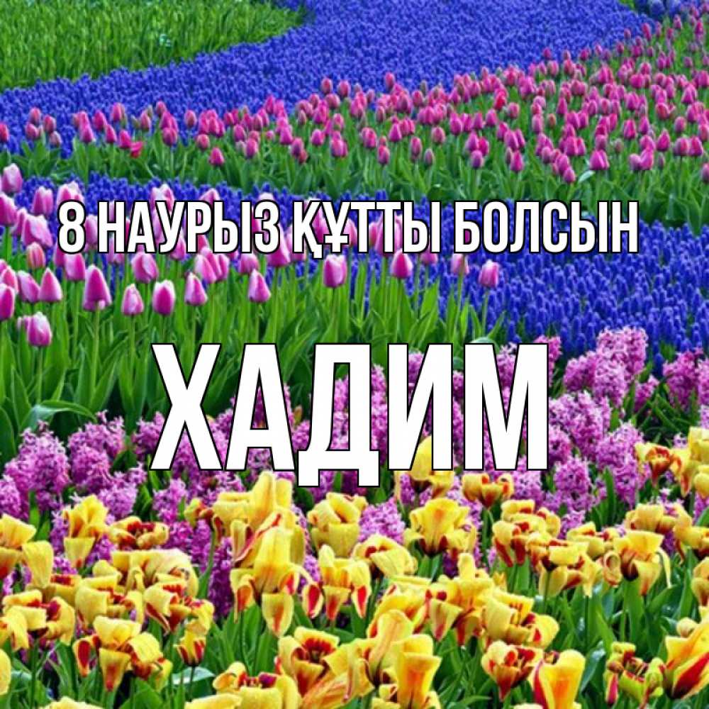 Күн сайын ашық хат с именем, ХАДИМ 8 наурыз құтты болсын цветы Онлайн тегін жүктеп алу тілектері бар керемет карта 
