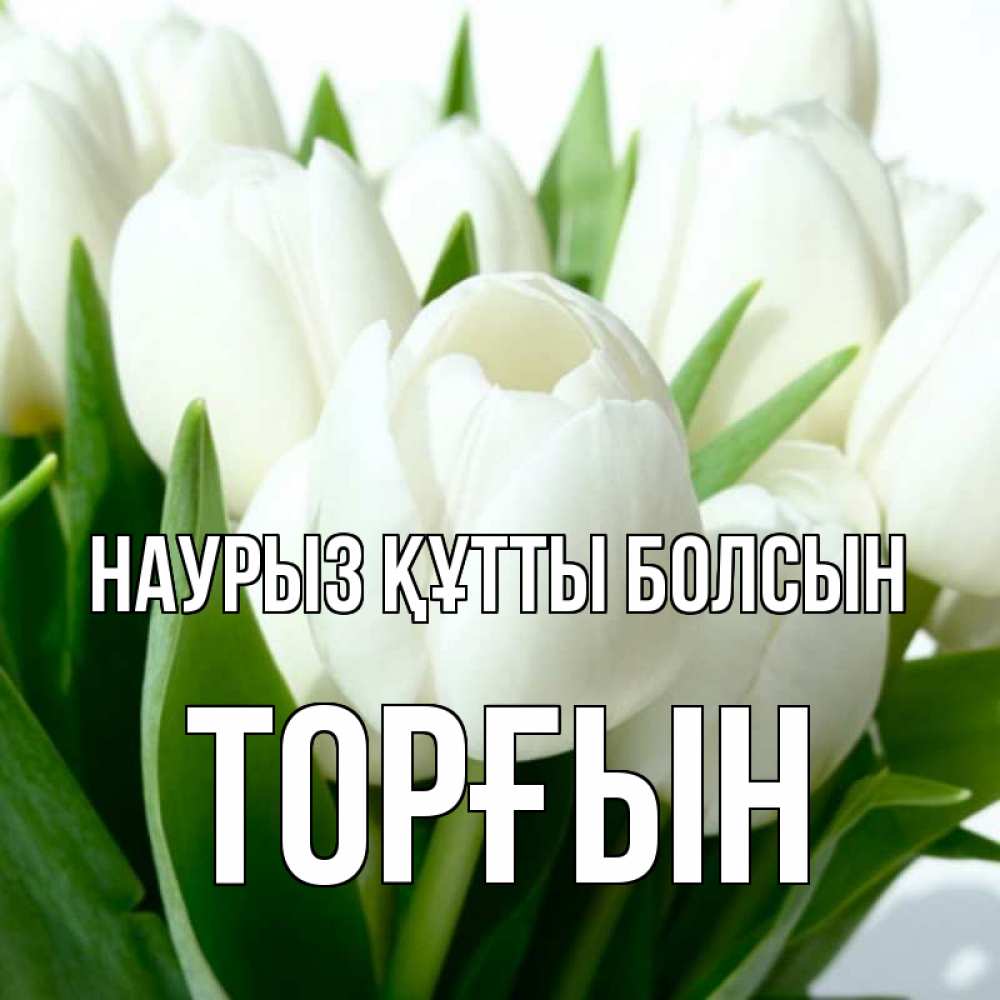 Күн сайын ашық хат с именем, ТОРҒЫН Наурыз құтты болсын цветы Онлайн тегін жүктеп алу тілектері бар керемет карта 