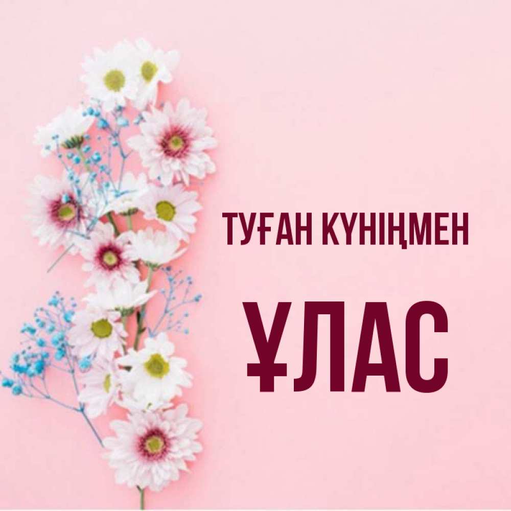 Күн сайын ашық хат с именем, ҰЛАС Туған күніңмен Родная моя с днем рождения тебя картинка с цветами белыми и голубыми Онлайн тегін жүктеп алу тілектері бар керемет карта 
