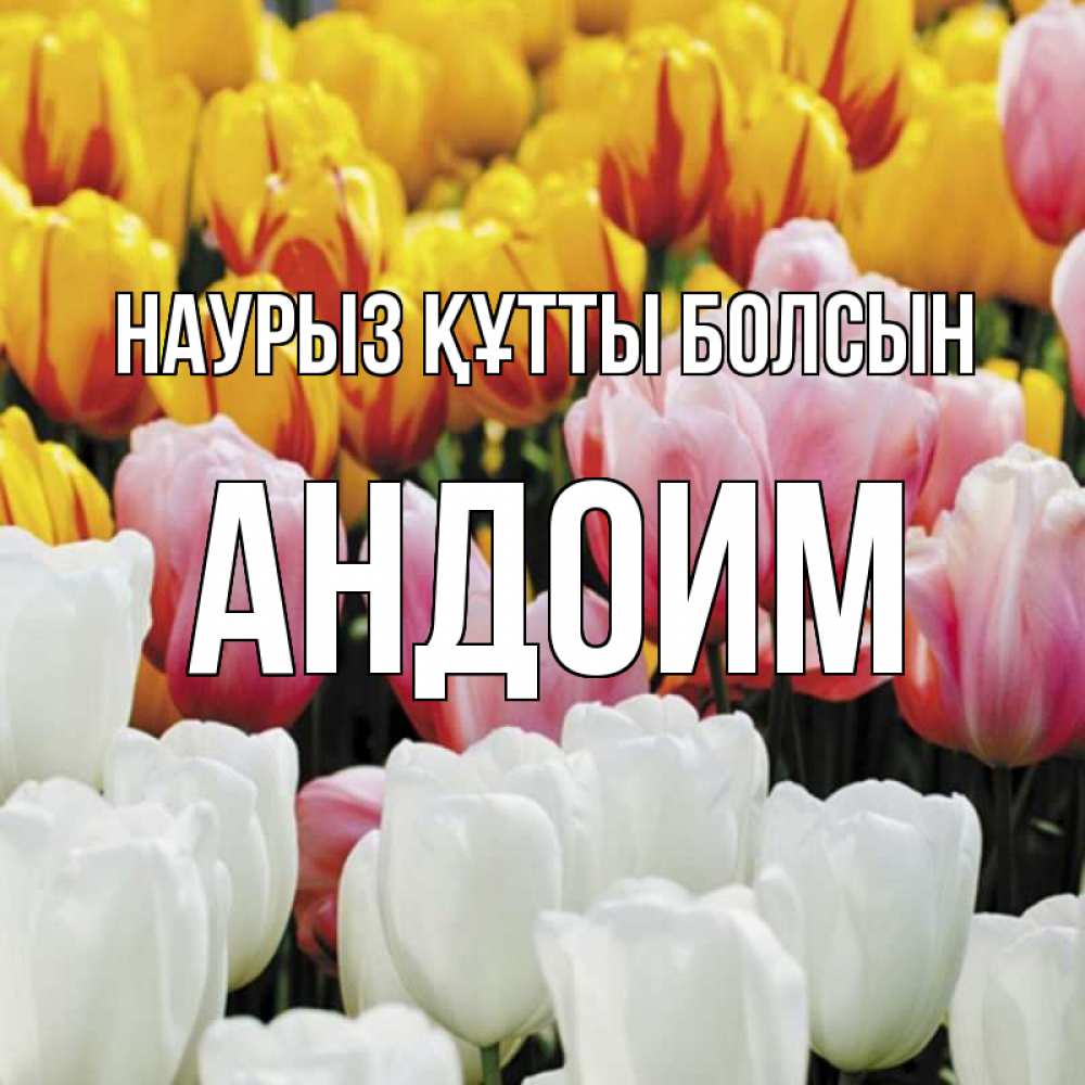 Күн сайын ашық хат с именем, Андоим Наурыз құтты болсын разноцветные цветы Онлайн тегін жүктеп алу тілектері бар керемет карта 