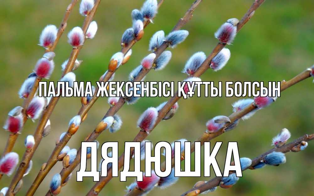 Күн сайын ашық хат с именем, Дядюшка Пальма жексенбісі құтты болсын верба Онлайн тегін жүктеп алу тілектері бар керемет карта 