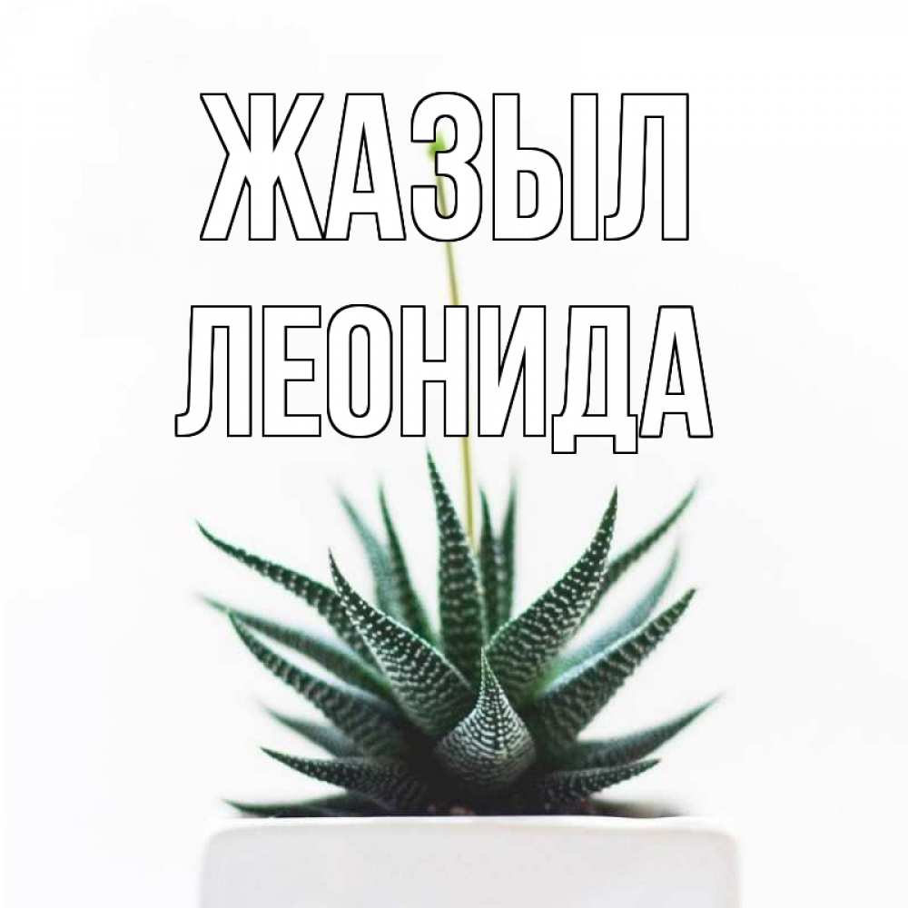 Күн сайын ашық хат с именем, Леонида Жазыл короче это непонятная колючка Онлайн тегін жүктеп алу тілектері бар керемет карта 