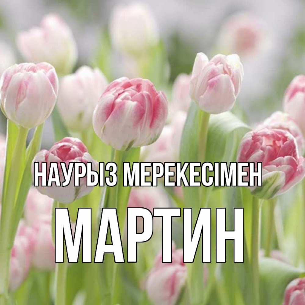 Күн сайын ашық хат с именем, Мартин Наурыз мерекесімен цветы Онлайн тегін жүктеп алу тілектері бар керемет карта 