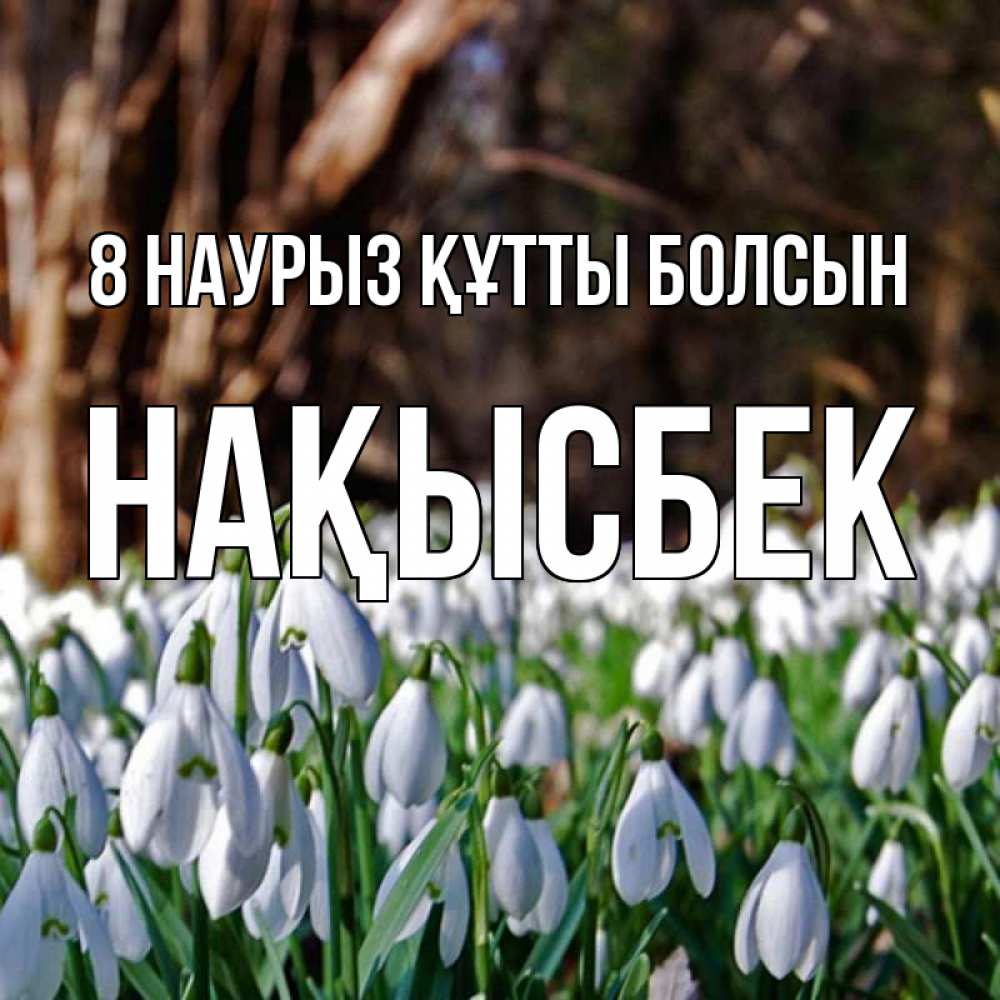 Күн сайын ашық хат с именем, НАҚЫСБЕК 8 наурыз құтты болсын с подснежниками 1 Онлайн тегін жүктеп алу тілектері бар керемет карта 