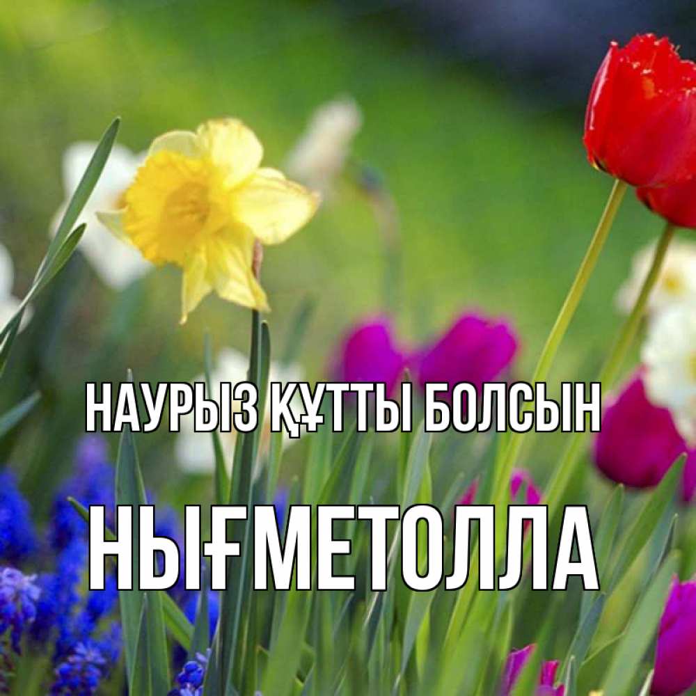 Күн сайын ашық хат с именем, НЫҒМЕТОЛЛА Наурыз құтты болсын наурыз  3 открытки Онлайн тегін жүктеп алу тілектері бар керемет карта 