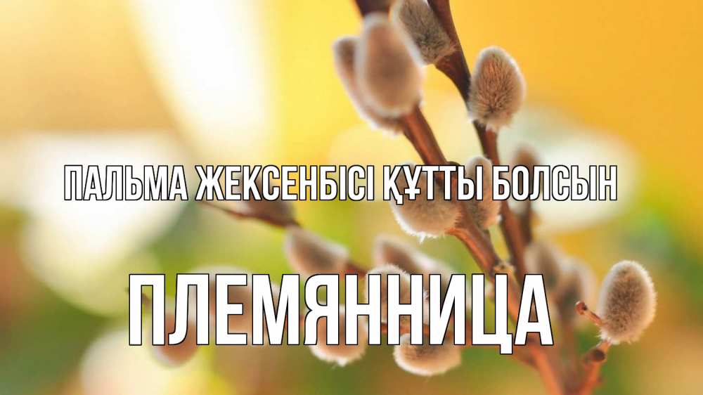Күн сайын ашық хат с именем, Племянница Пальма жексенбісі құтты болсын верба 1 Онлайн тегін жүктеп алу тілектері бар керемет карта 