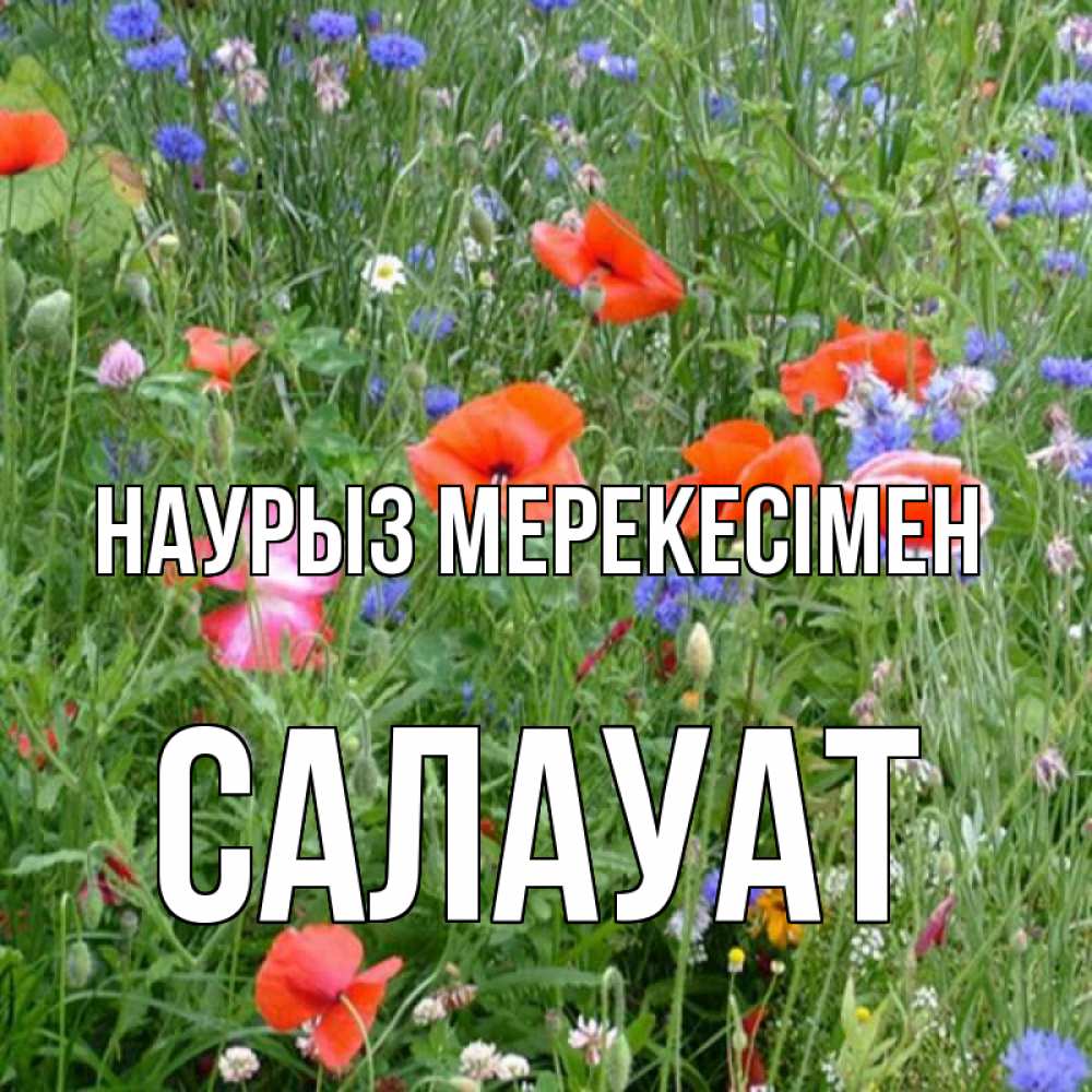 Күн сайын ашық хат с именем, САЛАУАТ Наурыз мерекесімен праздник весны наурыз супер открытка Онлайн тегін жүктеп алу тілектері бар керемет карта 