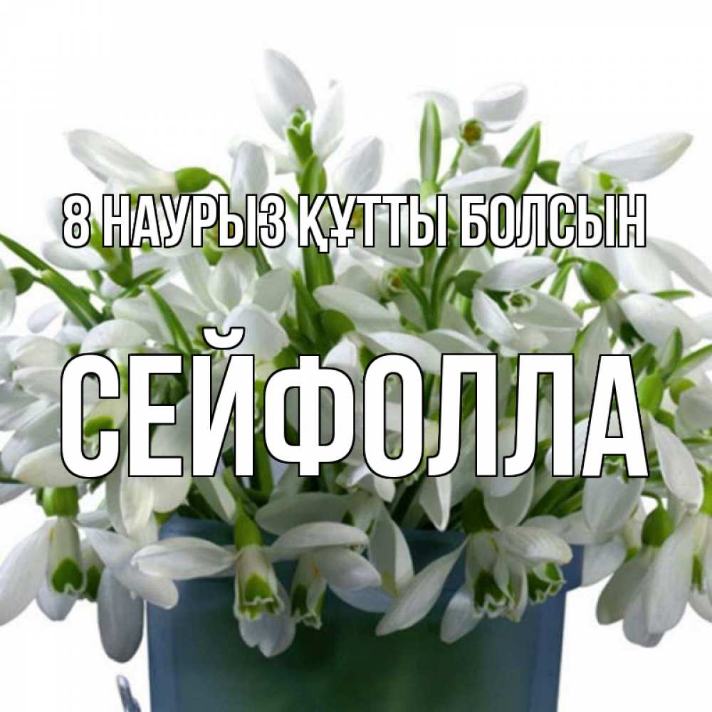 Күн сайын ашық хат с именем, СЕЙФОЛЛА 8 наурыз құтты болсын цветы к международному женскому дню Онлайн тегін жүктеп алу тілектері бар керемет карта 