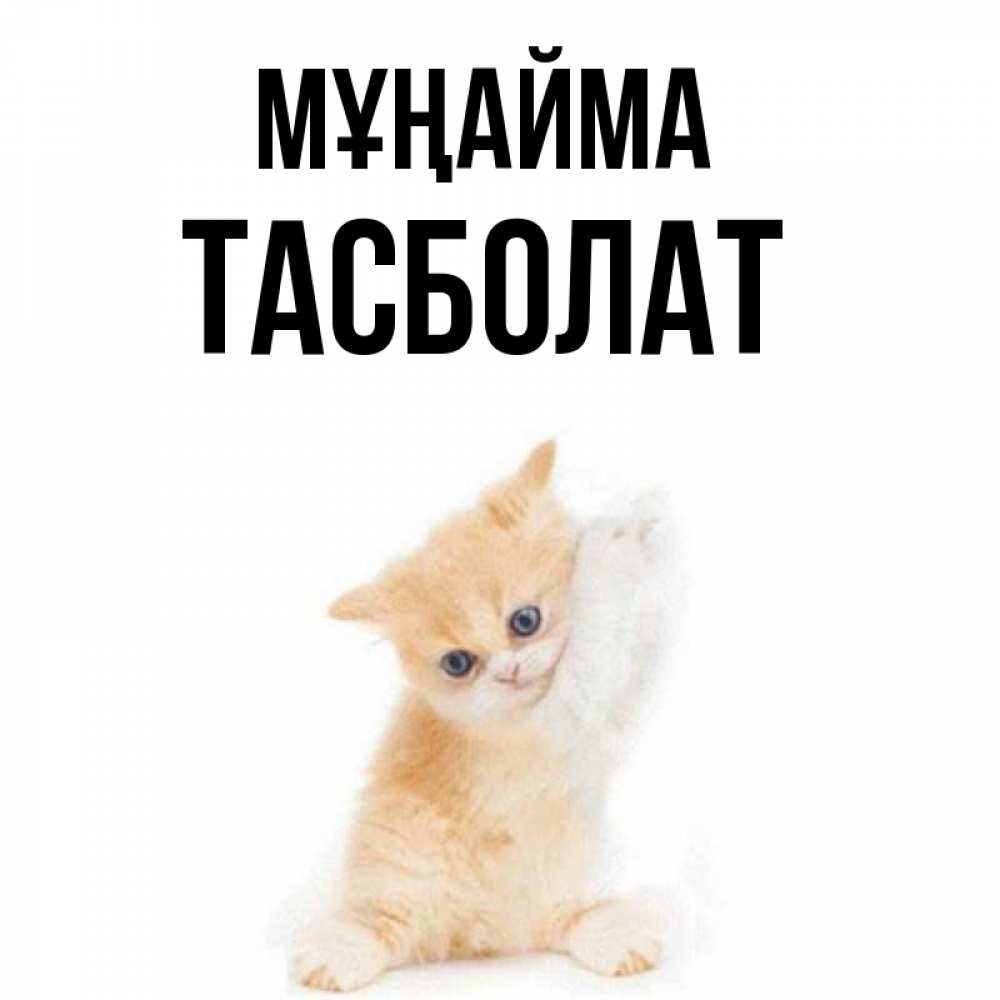 Күн сайын ашық хат с именем, ТАСБОЛАТ Мұңайма просящий кот Онлайн тегін жүктеп алу тілектері бар керемет карта 