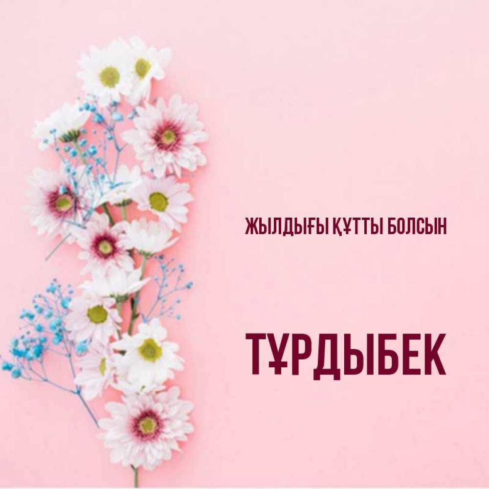 Күн сайын ашық хат с именем, ТҰРДЫБЕК Жылдығы құтты болсын Родная моя с днем рождения тебя картинка с цветами белыми и голубыми Онлайн тегін жүктеп алу тілектері бар керемет карта 