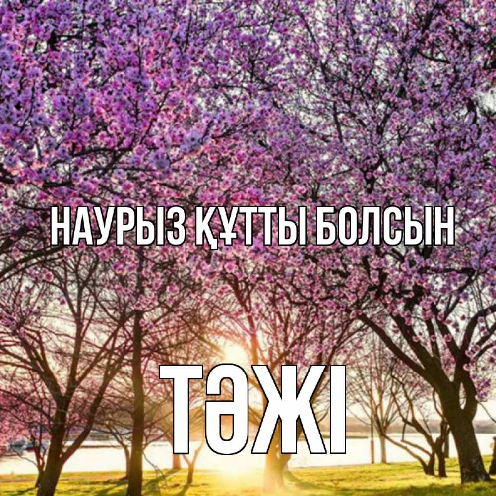 Күн сайын ашық хат с именем, ТӘЖІ Наурыз құтты болсын наурыз Онлайн тегін жүктеп алу тілектері бар керемет карта 