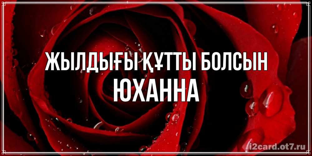 Күн сайын ашық хат с именем, Юханна Жылдығы құтты болсын крупная бордовая роза Онлайн тегін жүктеп алу тілектері бар керемет карта 