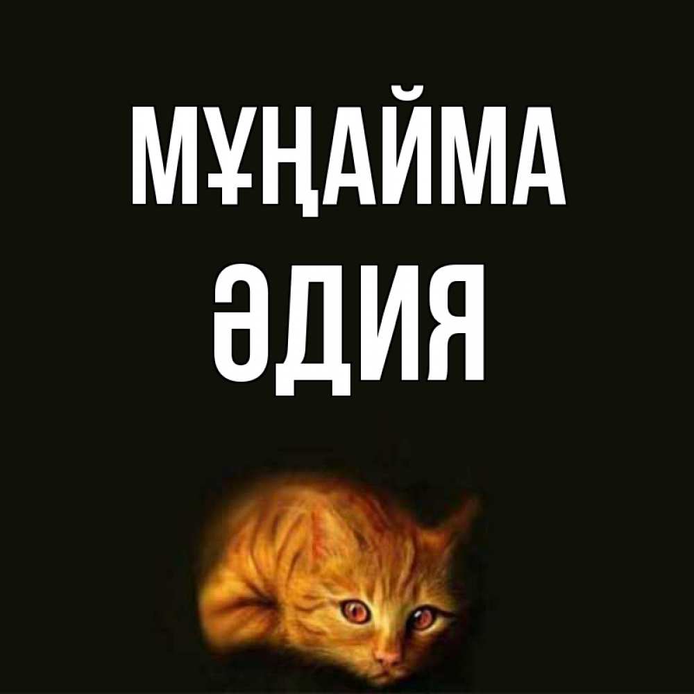 Күн сайын ашық хат с именем, ӘДИЯ Мұңайма лежащий кот в темноте Онлайн тегін жүктеп алу тілектері бар керемет карта 