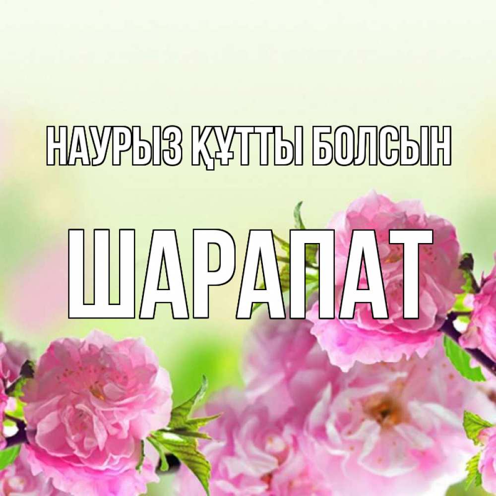 Күн сайын ашық хат с именем, ШАРАПАТ Наурыз құтты болсын цветы Онлайн тегін жүктеп алу тілектері бар керемет карта 