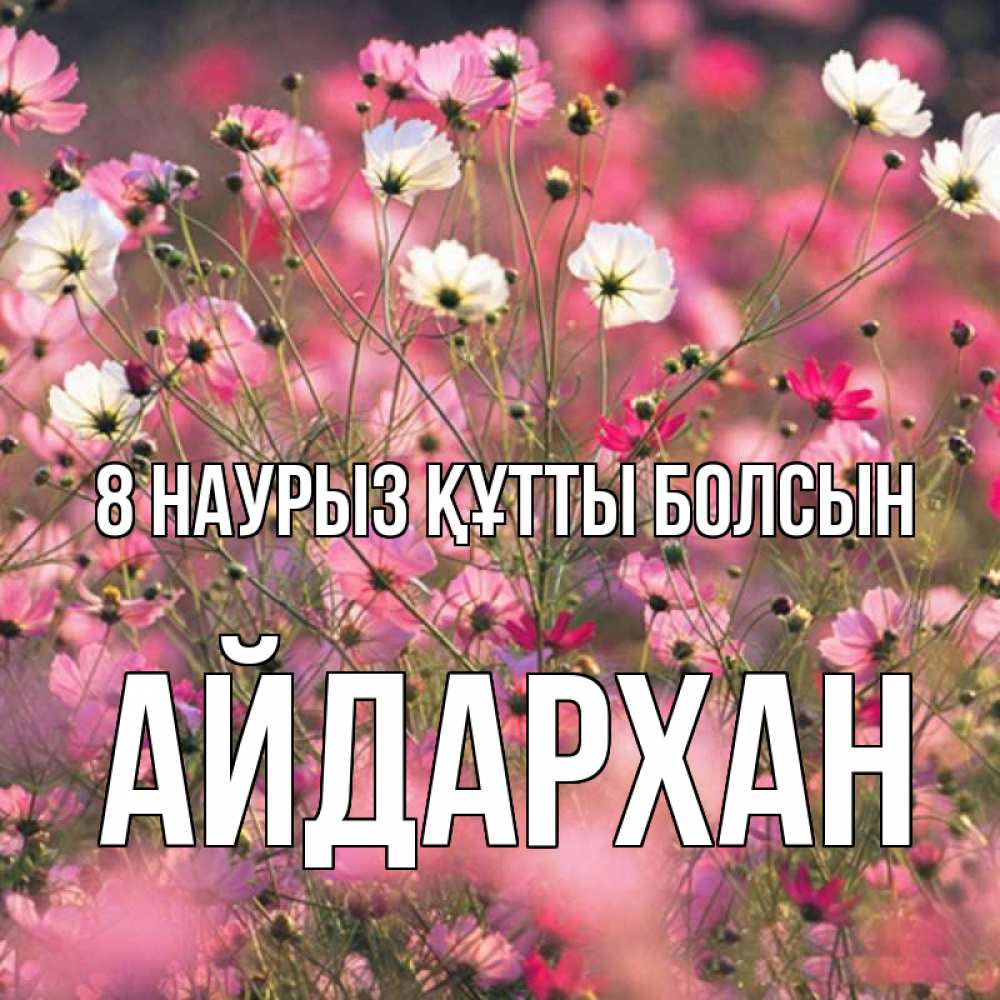 Күн сайын ашық хат с именем, Айдархан 8 наурыз құтты болсын красиво 1 Онлайн тегін жүктеп алу тілектері бар керемет карта 