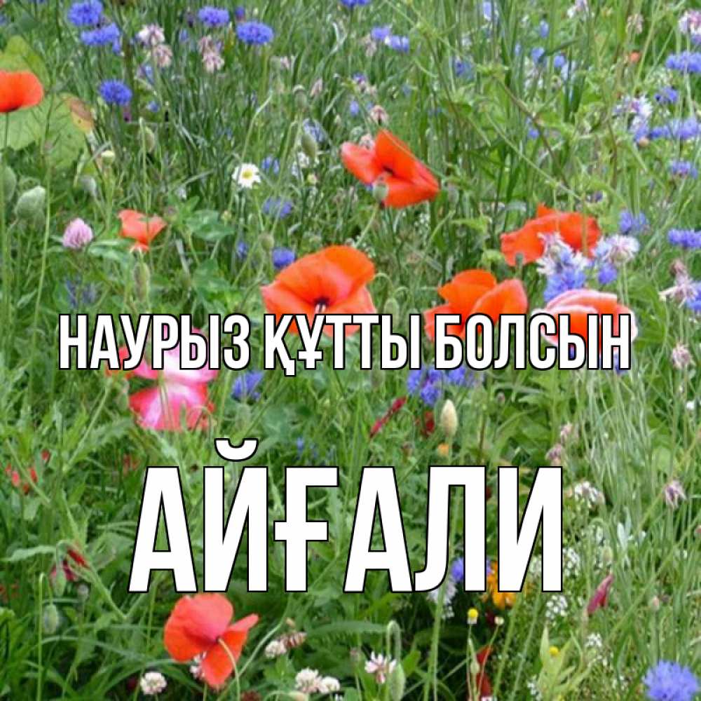 Күн сайын ашық хат с именем, Айғали Наурыз құтты болсын наурыз  4 Онлайн тегін жүктеп алу тілектері бар керемет карта 