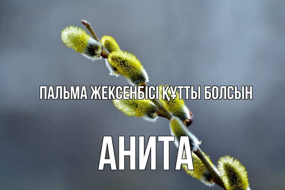 Күн сайын ашық хат с именем, Анита Пальма жексенбісі құтты болсын верба Онлайн тегін жүктеп алу тілектері бар керемет карта 