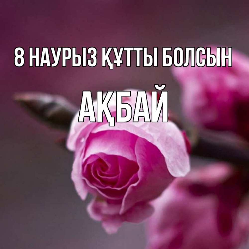 Күн сайын ашық хат с именем, Ақбай 8 наурыз құтты болсын весна Онлайн тегін жүктеп алу тілектері бар керемет карта 