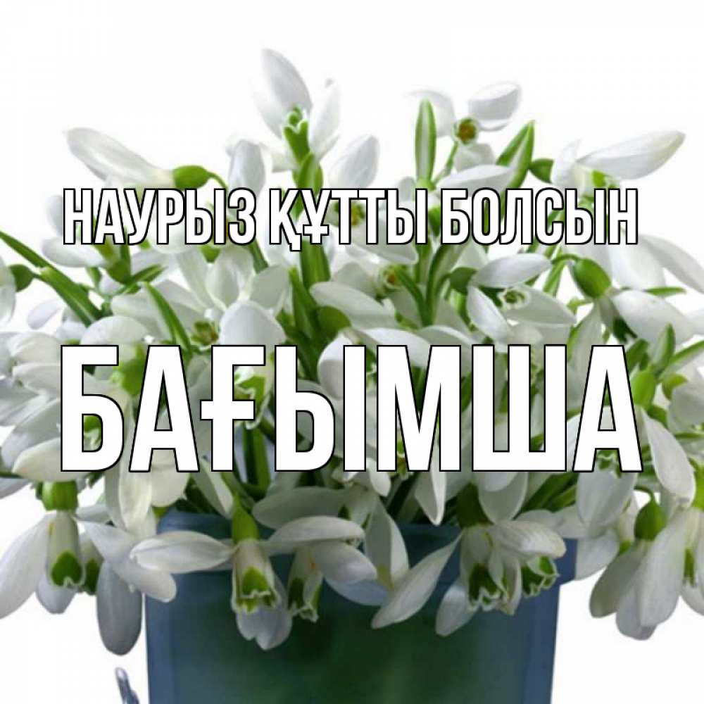 Күн сайын ашық хат с именем, БАҒЫМША Наурыз құтты болсын цветы к наурызу Онлайн тегін жүктеп алу тілектері бар керемет карта 