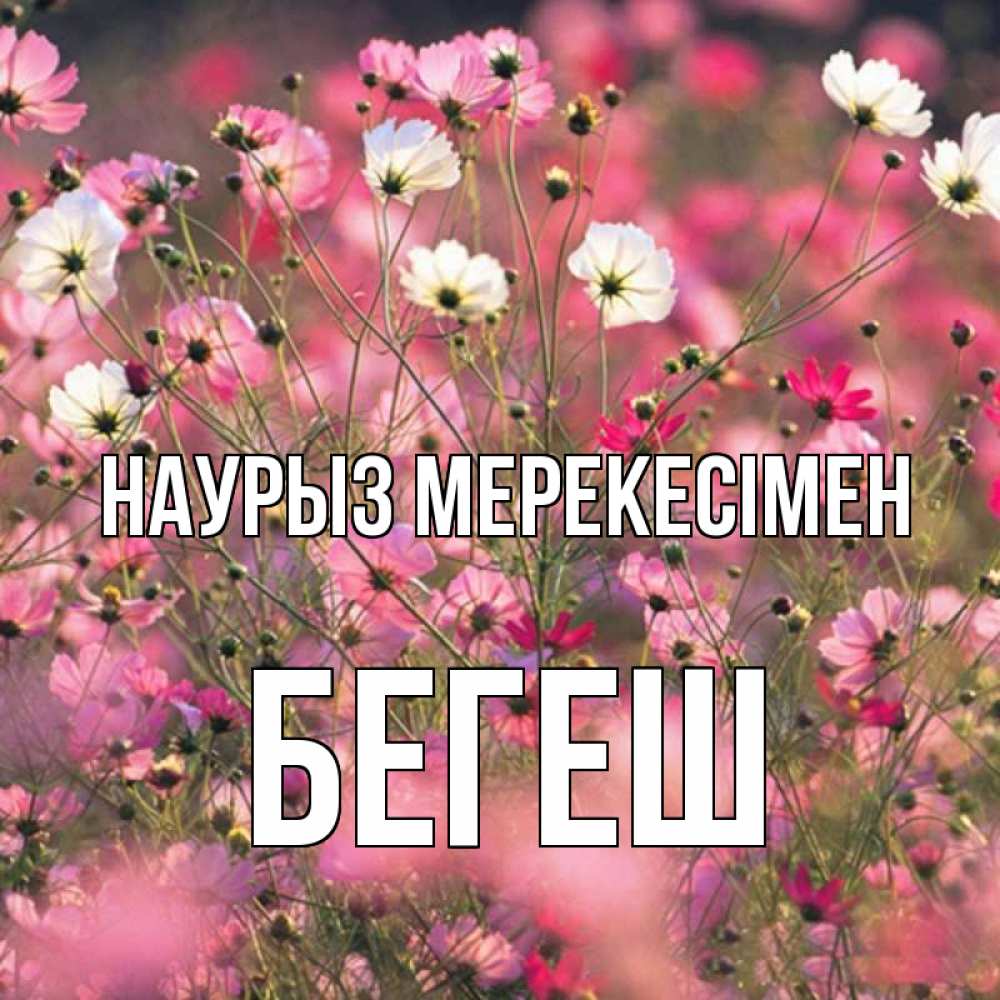 Күн сайын ашық хат с именем, Бегеш Наурыз мерекесімен красиво 1 Онлайн тегін жүктеп алу тілектері бар керемет карта 
