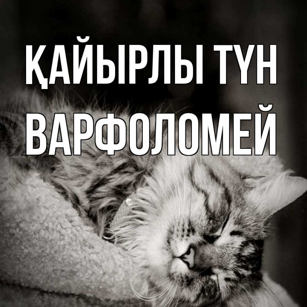 Күн сайын ашық хат с именем, Варфоломей Қайырлы түн котярик пушистый Онлайн тегін жүктеп алу тілектері бар керемет карта 