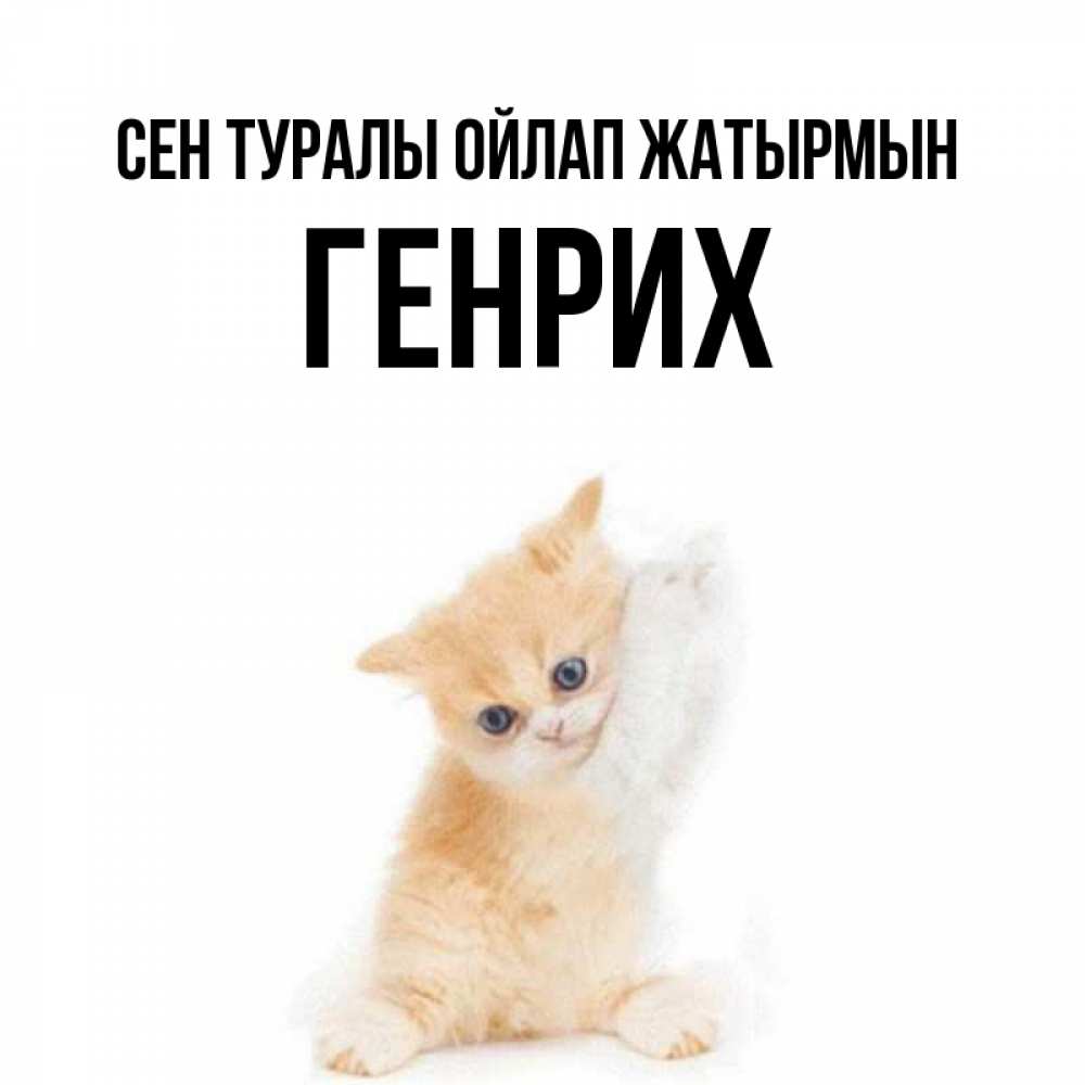 Күн сайын ашық хат с именем, Генрих Сен туралы ойлап жатырмын зверушки и милота Онлайн тегін жүктеп алу тілектері бар керемет карта 