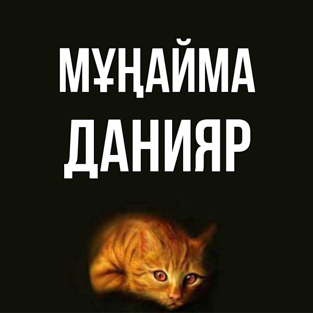 Күн сайын ашық хат с именем, Данияр Мұңайма лежащий кот в темноте Онлайн тегін жүктеп алу тілектері бар керемет карта 