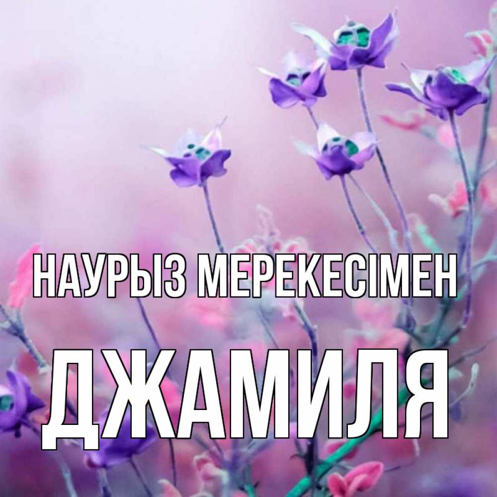 Күн сайын ашық хат с именем, Джамиля Наурыз мерекесімен международный женский день 2 Онлайн тегін жүктеп алу тілектері бар керемет карта 