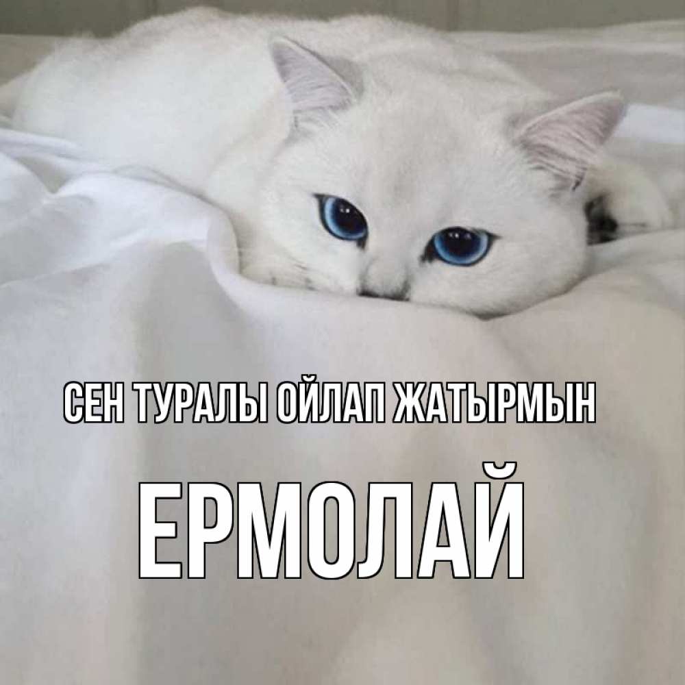 Күн сайын ашық хат с именем, Ермолай Сен туралы ойлап жатырмын я очень по тебе скучаю и тоскую Онлайн тегін жүктеп алу тілектері бар керемет карта 