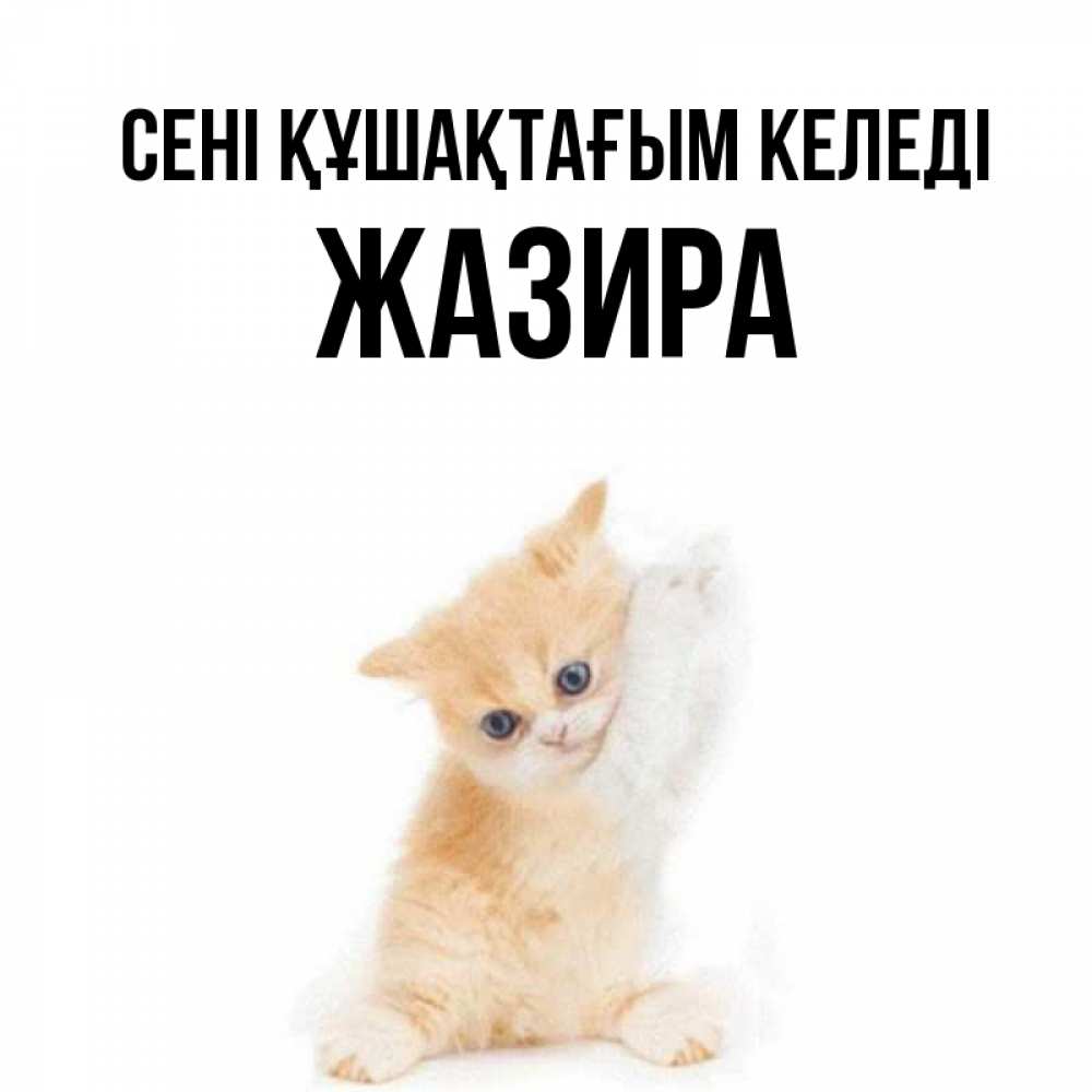 Күн сайын ашық хат с именем, ЖАЗИРА сені құшақтағым келеді я хочу очень скорее обнимаешек Онлайн тегін жүктеп алу тілектері бар керемет карта 