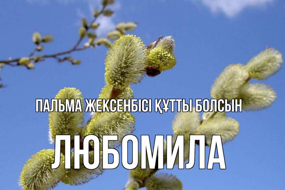 Күн сайын ашық хат с именем, Любомила Пальма жексенбісі құтты болсын верба Онлайн тегін жүктеп алу тілектері бар керемет карта 